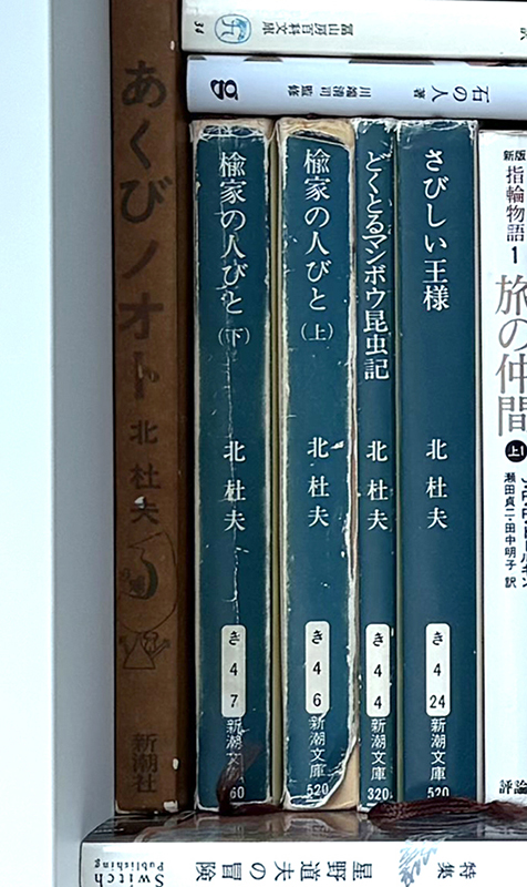 北杜夫全集　全15巻　プラス　さびしい姫君　悪魔のくる家 Amazon.co.jp: さびしい姫君 (新潮文庫 き 4-27) : 北 杜夫: 本