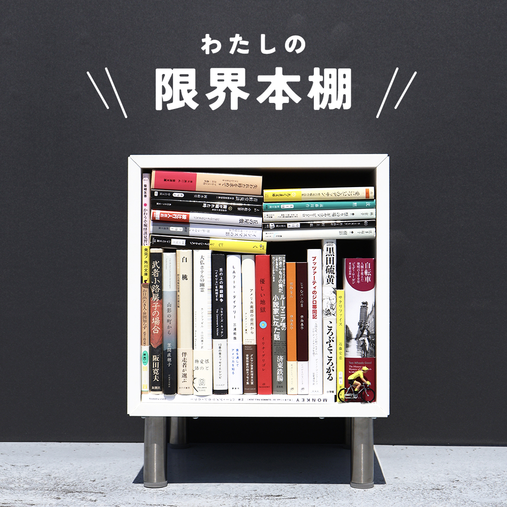 ホラー、自転車、ルーマニア……本が本を呼び、本棚って生きている？ と