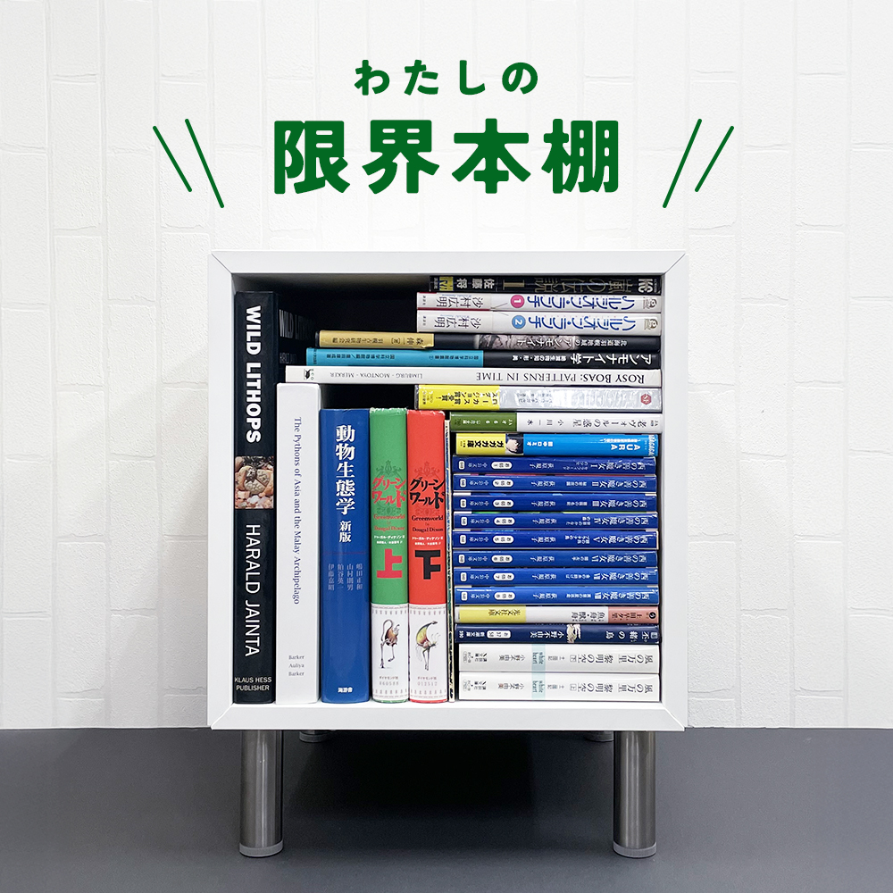 ファンタジーからアンモナイトに“中二病”まで？ 蔵書から厳選した27冊