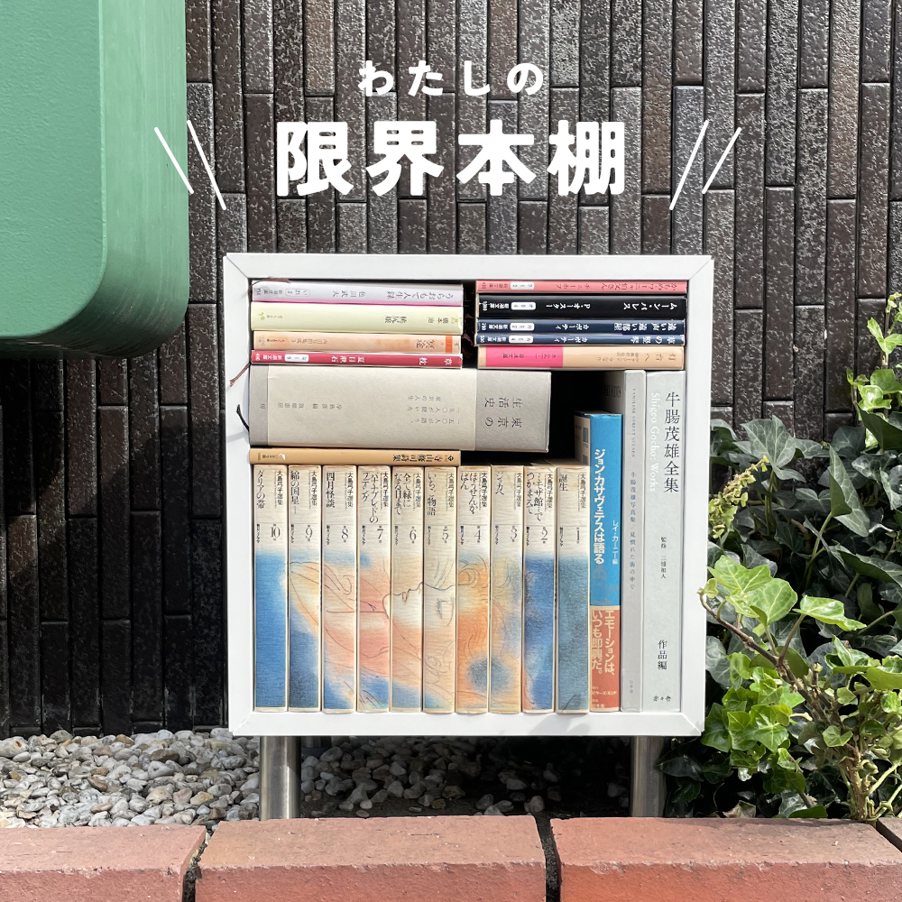 写真集や詩集も詰め込んで……何度もひらいた24冊の本棚｜こどものとも第一編集部・T