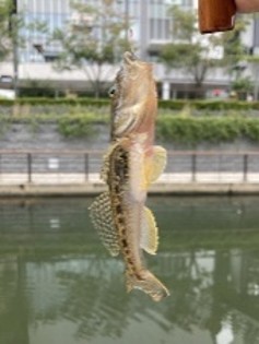 Ｔ　（50代・男性）